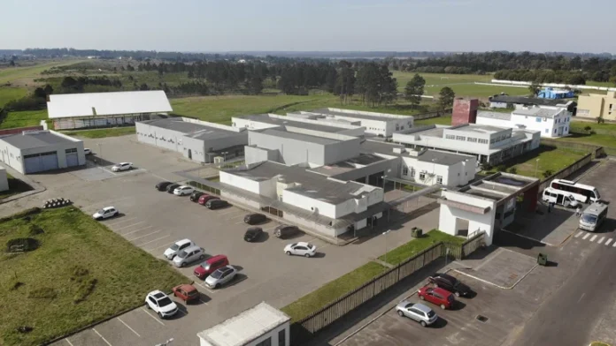 020326-IFRS-OSORIO-2-768x432