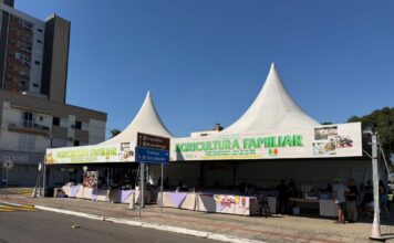 Feira fortalece agricultura e pequenos negócios em Turvo