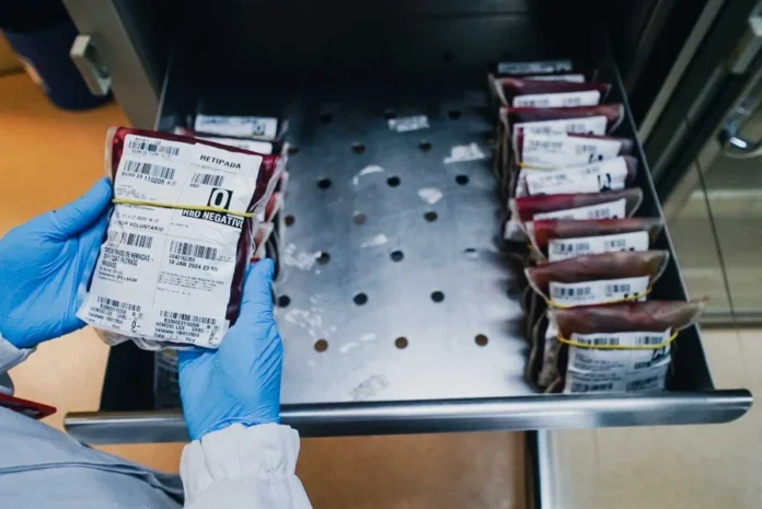 Hemosc registra queda em doações de sangue em Santa Catarina Profissional de saúde com luvas azuis segura bolsa de sangue do tipo O negativo em frente a uma gaveta de armazenamento em unidade do Hemosc, em Santa Catarina.