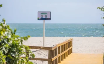 IMA celebra 50 anos de monitoramento das praias em SC Uma passarela de madeira em primeiro plano conduz o olhar para uma faixa de areia clara e o mar azul ao fundo, sob céu aberto. No centro da imagem, em destaque, há uma placa branca de sinalização instalada pelo IMA. No topo da placa, a palavra "PRÓPRIA" está escrita em letras garrafais verdes, indicando que a água está adequada para banho. Abaixo do aviso, dois QR Codes permitem o acesso rápido a informações detalhadas sobre o monitoramento.