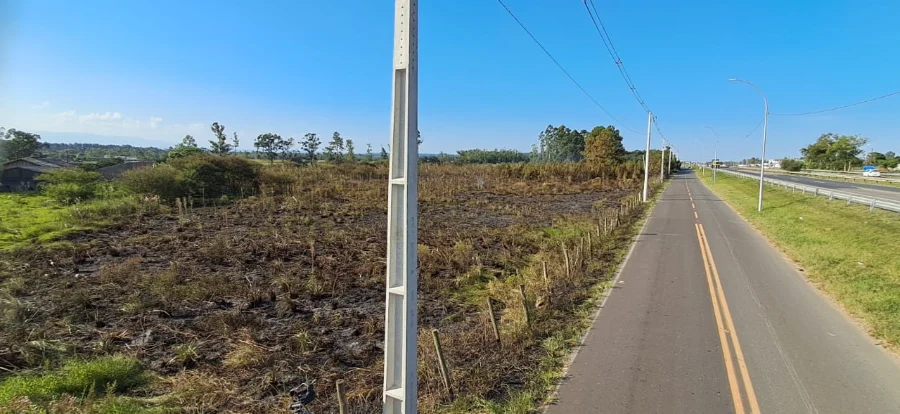 Área queimada de 10 hectares em Maracajá, SC, após incêndio em vegetação nativa. Cena mostra terra carbonizada, estrada e postes de luz sob céu azul, documentando o rastro da destruição combatida pelo Corpo de Bombeiros Militar.