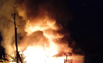 Incêndio destrói residência no Balneário Rincão Fotografia noturna de um incêndio de grandes proporções em uma residência. Chamas intensas de cor laranja e amarela envolvem quase toda a estrutura do imóvel, com uma densa coluna de fumaça escura subindo ao céu. À esquerda, é possível ver a silhueta de um poste de energia e folhagens, enquanto a iluminação do fogo destaca o volume do incêndio no Balneário Rincão.