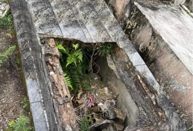 T&uacute;mulo com estrutura de m&aacute;rmore quebrada e vegeta&ccedil;&atilde;o crescendo dentro da sepultura no cemit&eacute;rio de Sombrio.