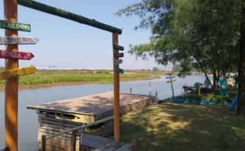 Reeducandos realizam manutenção em espaços de Araranguá Uma vista de Araranguá na comunidade de Ilhas com um deck de madeira em primeiro plano. Uma placa rústica de madeira com setas coloridas exibe frases inspiradoras como "Crie Ondas", "Coisas Boas", "Porque Elas" e "Amor". Ao fundo, em um gramado verde, reeducandos do Projeto Recomeçar realizam serviços de manutenção e limpeza próximos ao rio e árvores.