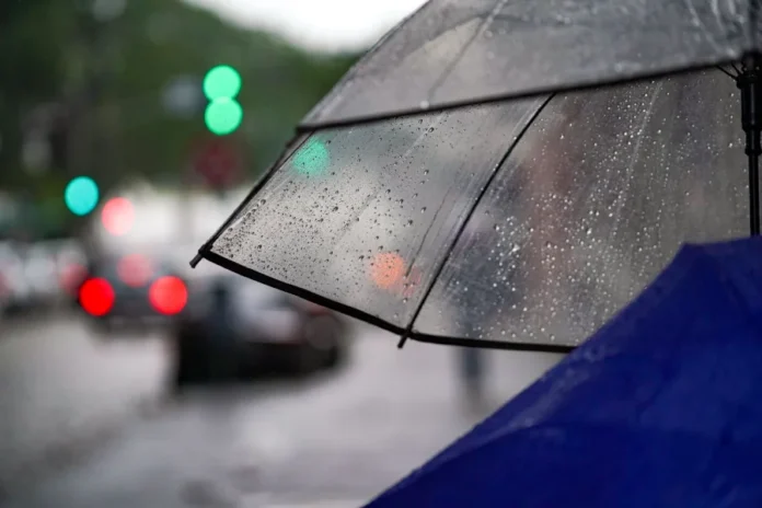 Santa Catarina terá semana de chuva e temporais isolados Uma foto de close-up foca em dois guarda-chuvas sob chuva em uma rua urbana desfocada. O guarda-chuva transparente está no primeiro plano, inclinado, com sua superfície coberta por inúmeras gotas de água cristalinas e escorrendo. Os raios e a borda preta do guarda-chuva transparente são nítidos. No canto inferior direito, a borda desfocada de um guarda-chuva azul cobalto profundo é visível. O fundo é uma cena de rua urbana altamente desfocada (bokeh), onde luzes de semáforo verdes e lanternas traseiras de carros vermelhas criam borrões coloridos e atmosféricos contra a paisagem urbana escura e úmida. A profundidade de campo é muito rasa, acentuando a sensação de chuva e isolamento.
