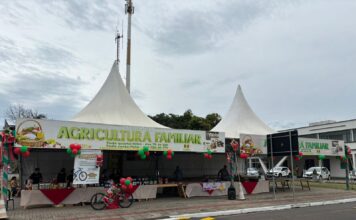Feira da Agricultura de Turvo amplia dias de atendimento
