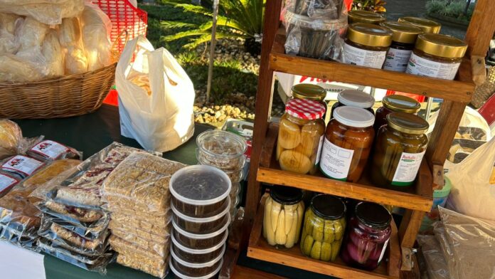 WhatsApp Image 2026-03-30 at 10.27.09 (1)