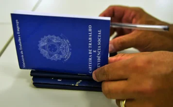 Emprego formal lidera preferência dos brasileiros