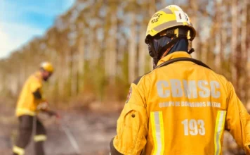 CBMSC forma 48 especialistas em incêndios florestais Bombeiro militar do CBMSC com uniforme de proteção amarelo e capacete em treinamento de combate a incêndio florestal em área de mata em Santa Catarina.