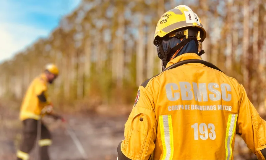 Bombeiro militar do CBMSC com uniforme de proteção amarelo e capacete em treinamento de combate a incêndio florestal em área de mata em Santa Catarina.