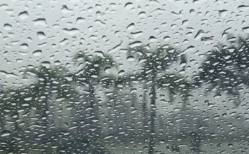 Frente fria traz temporais e queda de temperatura para SC Vista em primeiro plano de gotas de chuva persistentes no para-brisa de um veículo em Santa Catarina, com palmeiras e edifícios desfocados ao fundo em um dia de tempo severo. Imagem ilustra os alertas de chuva e temporais emitidos pela Defesa Civil de SC.