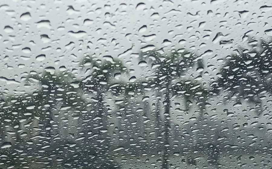 Vista em primeiro plano de gotas de chuva persistentes no para-brisa de um veículo em Santa Catarina, com palmeiras e edifícios desfocados ao fundo em um dia de tempo severo. Imagem ilustra os alertas de chuva e temporais emitidos pela Defesa Civil de SC.