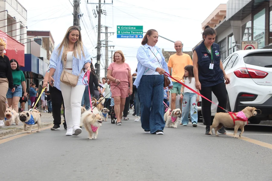 Morro da Fumaça abre inscrições para a 2ª Cãominhada Grupo de pessoas e tutores caminhando com cães de diversas raças, como Pug e Spitz Alemão, durante a Cãominhada em Morro da Fumaça. A imagem mostra os animais com coleiras e bandanas em uma via pública, destacando o evento de conscientização sobre bem-estar animal e guarda responsável promovido pela Fumaf.