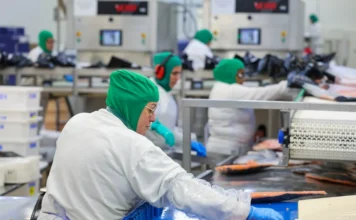 Novo piso regional de SC chega a R$ 2.106 em 2026 Trabalhadoras de indústria de processamento de alimentos em Santa Catarina utilizando equipamentos de proteção, representando setores beneficiados pelo novo salário mínimo regional de 2026.