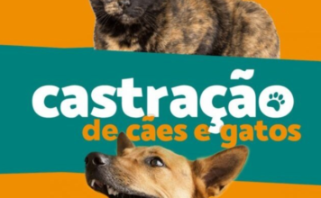 Dom Pedro de Alcântara abre inscrições para mutirão de castração