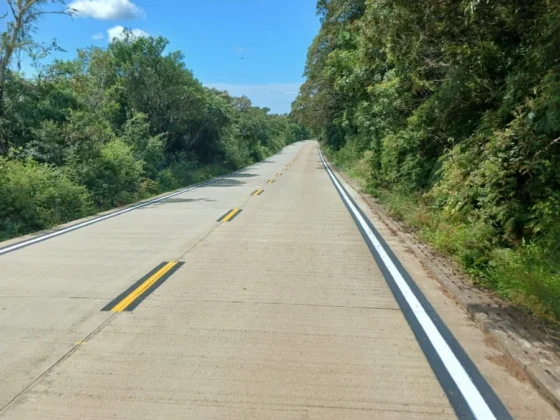 Vis&atilde;o em perspectiva da longa reta pavimentada em concreto na rodovia SC-290, Serra do Faxinal, cercada por densa mata atl&acirc;ntica.
