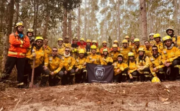 Sombrio sedia especialização para bombeiros militares Bombeiros militares de Santa Catarina em uniforme de combate posam para foto oficial em área de mata em Sombrio, segurando bandeira do Curso de Prevenção e Combate a Incêndio Florestal (CPCIF).