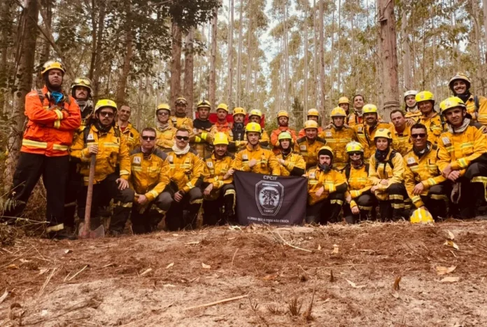 Sombrio sedia especialização para bombeiros militares Bombeiros militares de Santa Catarina em uniforme de combate posam para foto oficial em área de mata em Sombrio, segurando bandeira do Curso de Prevenção e Combate a Incêndio Florestal (CPCIF).
