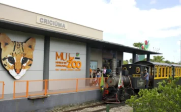 Unesc lança cartilha para visitas ao Museu de Zoologia Fachada do Museu de Zoologia da Unesc (Muzoo) no Parque das Nações em Criciúma, exibindo pintura de um gato-maracajá na parede e o trem turístico Terezinha parado na estação em frente ao museu.