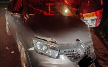 Idoso fica ferido em colisão na SC-449