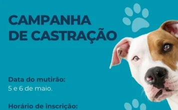 Mutirão de castração ocorre em maio em Araranguá