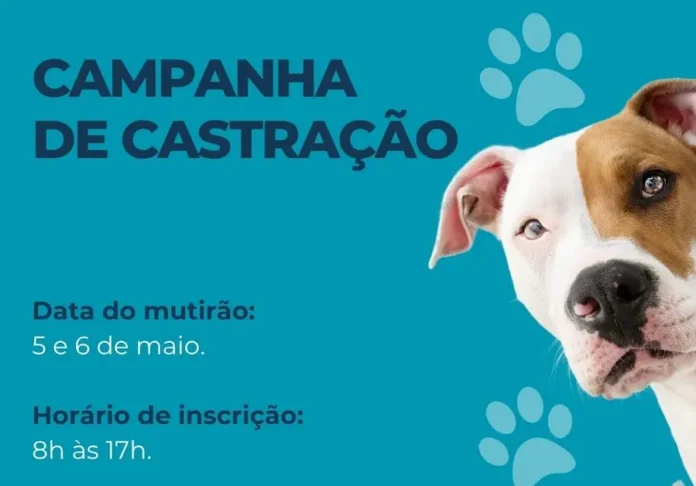 WhatsApp Image 2026-04-22 at 09.24.45