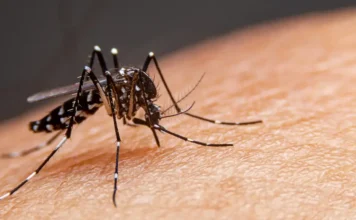 RS registra primeira morte por dengue em 2026