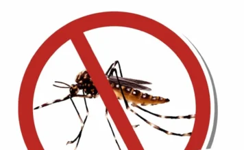 Ação conjunta reforça combate ao Aedes aegypti em Torres