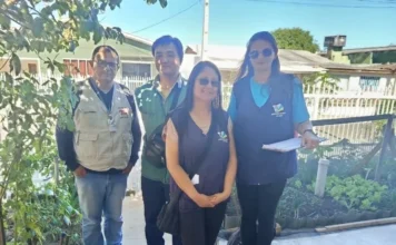 Arroio do Silva intensifica combate ao Aedes aegypti Agentes da Vigilância Epidemiológica de Balneário Arroio do Silva realizam ação de combate ao Aedes aegypti em área residencial