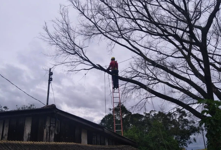 Bombeiro realiza corte preventivo de galhos suspensos sobre residência no bairro Lote Seis, em Criciúma