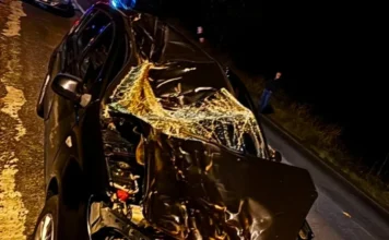 Carro colide contra cavalo solto na pista em Turvo Carro danificado após colisão contra cavalo solto na pista na Rodovia 285, em Turvo