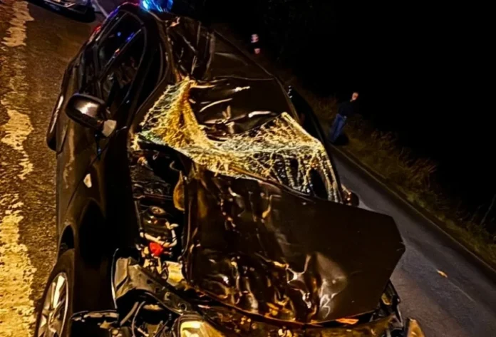 Carro colide contra cavalo solto na pista em Turvo Carro danificado após colisão contra cavalo solto na pista na Rodovia 285, em Turvo