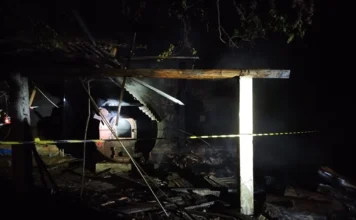 Incêndio destrói aviário em Timbé do Sul na madrugada Estrutura destruída de aviário após incêndio em Timbé do Sul com fita de isolamento e fumaça visível ao fundo