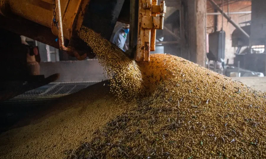 Produção agropecuária no Brasil com grãos sendo descarregados, setor que impulsionou alta do PIB brasileiro no 1º trimestre