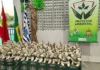 PROA forma protetores mirins em escola de Araranguá Mascotes do Programa Protetor Ambiental em escola de Araranguá durante projeto de educação ambiental com alunos