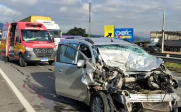 Colisão entre carro e caminhão deixa ferido na BR-101