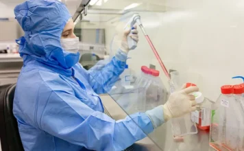 Terapia com células-tronco combate complicações da medula
