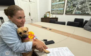 Castrações de cães e gatos serão ampliadas em Cocal do Sul Representante do Instituto Rede do Bem segura cadela resgatada durante adesão de Cocal do Sul ao programa Pet Levado a Sério