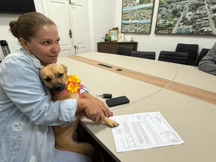 Castrações de cães e gatos serão ampliadas em Cocal Representante do Instituto Rede do Bem segura cadela resgatada durante adesão de Cocal do Sul ao programa Pet Levado a Sério