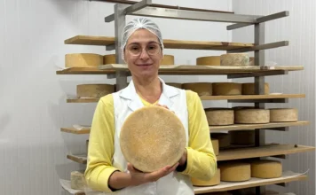 Laticínios crescem 59% em SC e chegam a 1.186 empresas Empreendedora da Queijaria Boca da Serra segura queijo artesanal em sala de maturação, em Santa Catarina, setor que cresceu 59% em seis anos