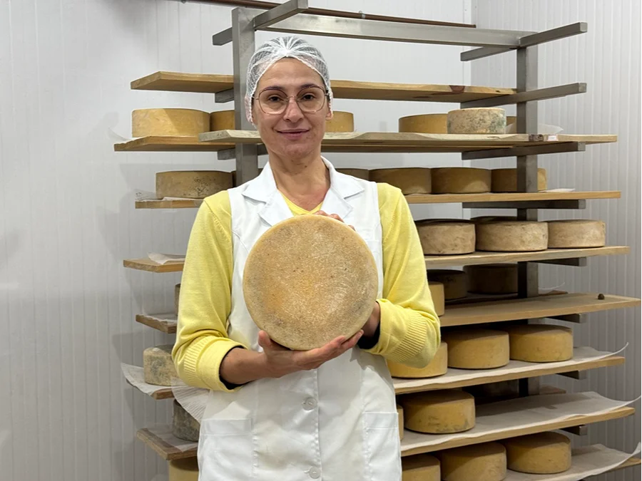 Laticínios crescem 59% em SC e chegam a 1.186 empresas Empreendedora da Queijaria Boca da Serra segura queijo artesanal em sala de maturação, em Santa Catarina, setor que cresceu 59% em seis anos
