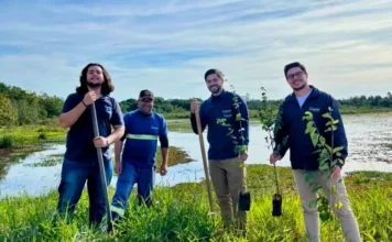Sombrio Saneamento realiza ações de preservação ambiental Colaboradores da Sombrio Saneamento realizam plantio de mudas nativas na Lagoa da Guarita durante ação da Semana do Meio Ambiente em Sombrio