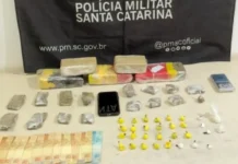 Operação apreende mais de 2,6 kg de maconha em Araranguá