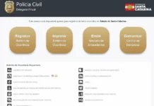 Delegacia Virtual registra maioria dos BOs em SC