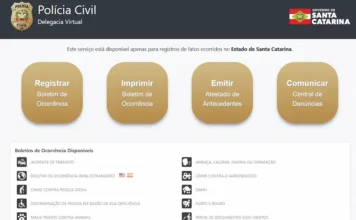 Delegacia Virtual registra maioria dos BOs em SC