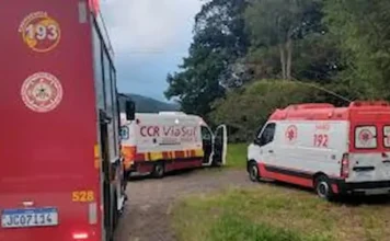 Motorista é ejetado após carro sair da pista na BR-101