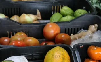 Unesc recebe Feira Agroecológica em junho