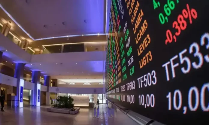 primeira-previa-da-carteira-do-ibovespa-b3-para-janeiro-de-2025 (1)
