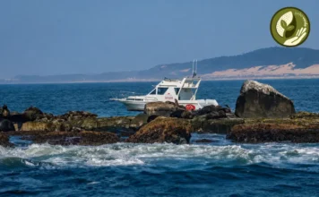 ICMBio autoriza turismo na Ilha dos Lobos