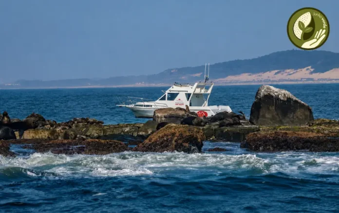 site-junho-verdeicmbio-autoriza-turismo-embarcado-no-refugio-de-vida-silvestre-da-ilha-dos-lobos-rs